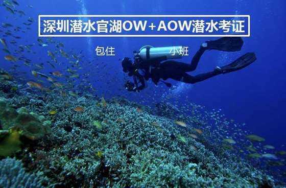 CBA爆冷门!同曦6人全拉胯,福建狂胜34分,西热力江遭网友炮轰!